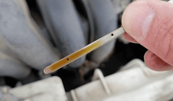 Lexus Oil Change