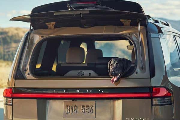 Lexus GX exterior