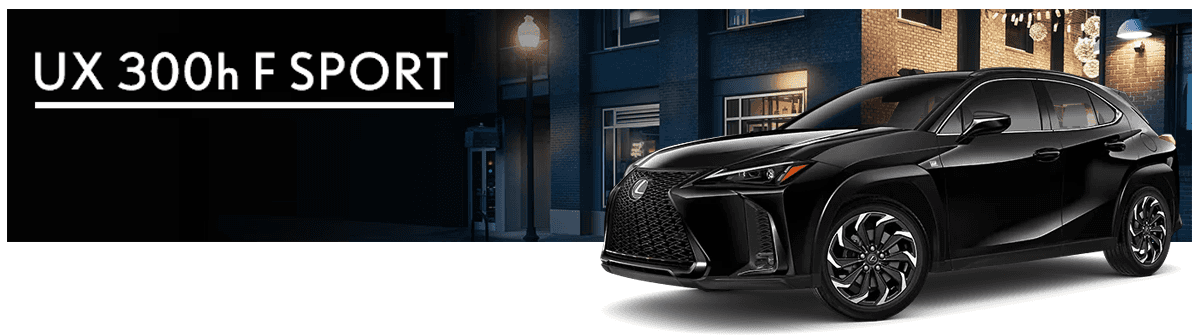 Maintaining Peak Performance: 2025 Lexus UX 300h Maintenance Guide