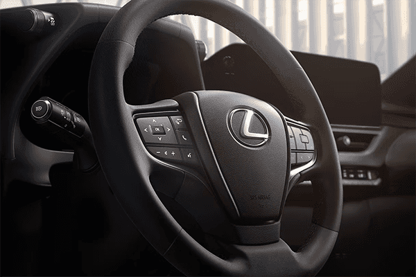 2025 Lexus UX 300h Premium interior
