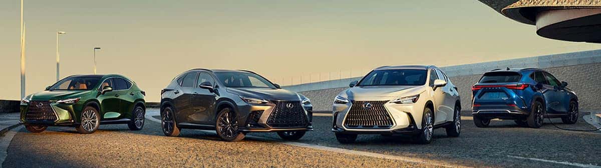 2024 Lexus NX 350h Review