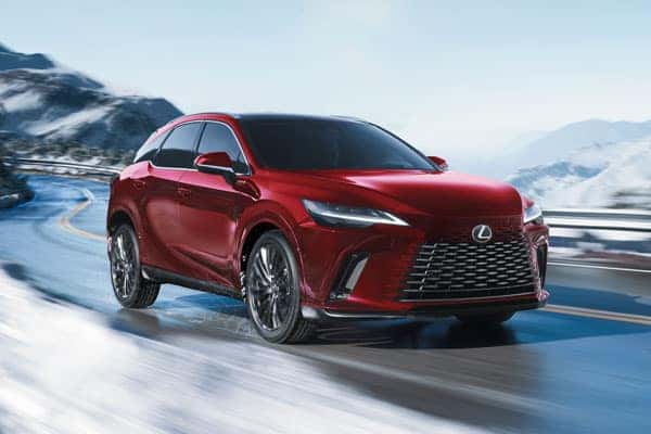 Lexus winter tire guide