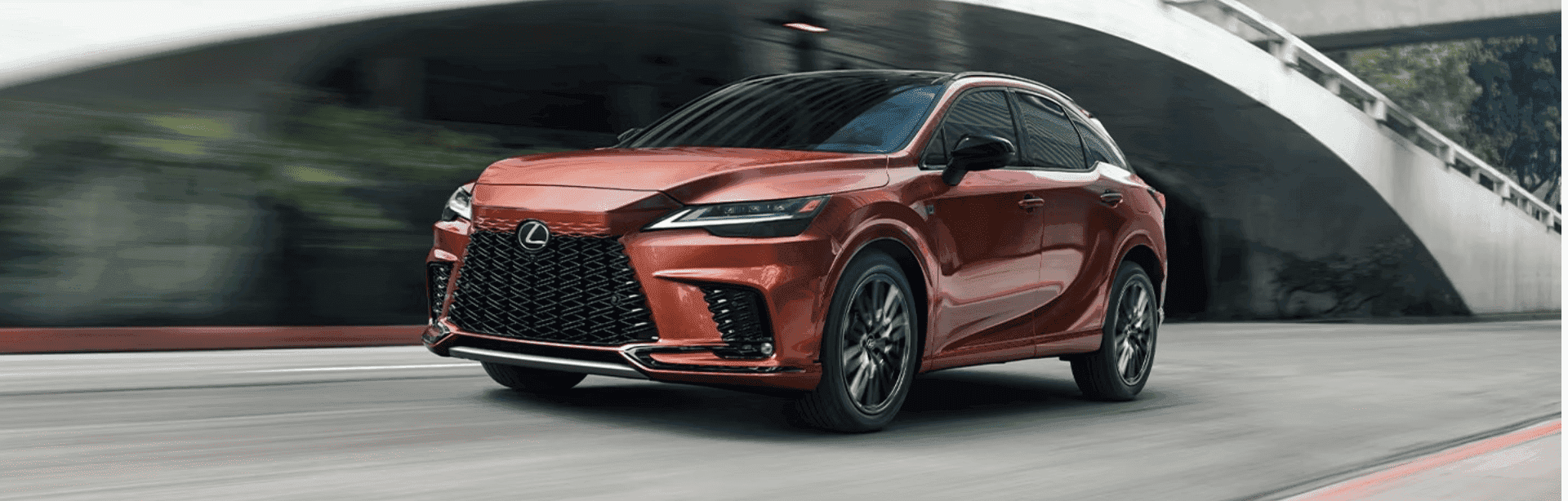 Comprehensive Overview of the Lexus RX
